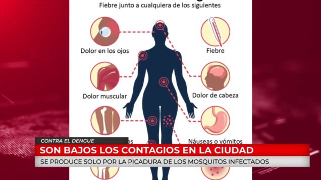 C20 Noticias | Contra el Dengue – Andrea Polverini