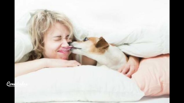 C20 Noticias | Mascotas – Gabriela Demilta