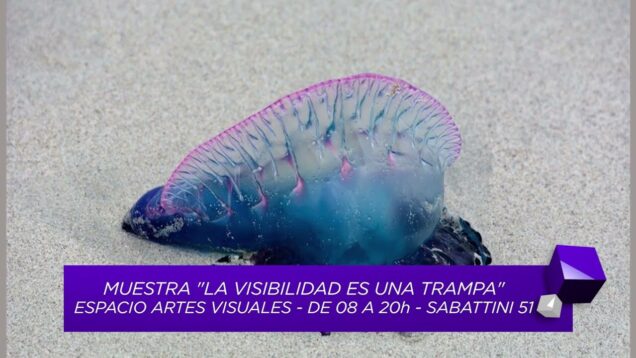 UNITEVE | Usina Cultural | Inauguraron La visibilidad es una trampa