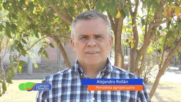 Campo Directo | En medio del “dólar soja”, el Central subió la tasa de interés