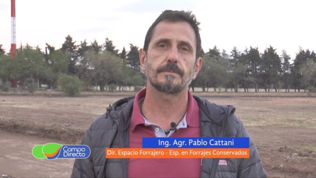 Campo Directo | Maximizando el uso del heno