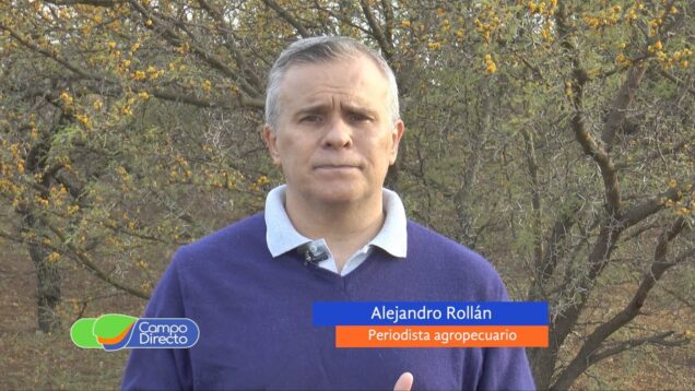 Campo Directo | Terminó el dólar soja a 200 pesos ¿cuáles fueron sus resultados?