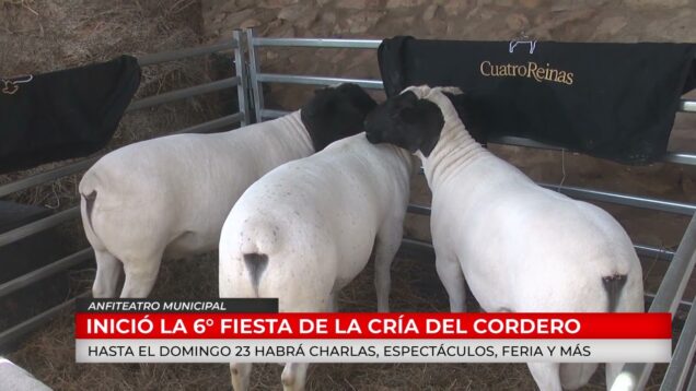 C20 Noticias | Anfiteatro Municipal – Gerardo Colombano