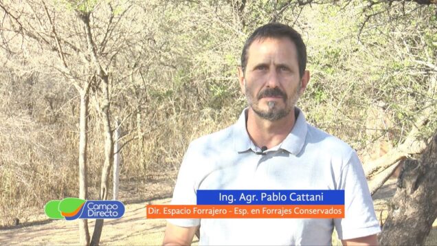 Campo Directo | Uso de procesadores de fibra en heno