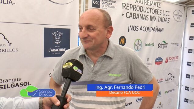 Campo Directo | 21er. Remate Anual UCC