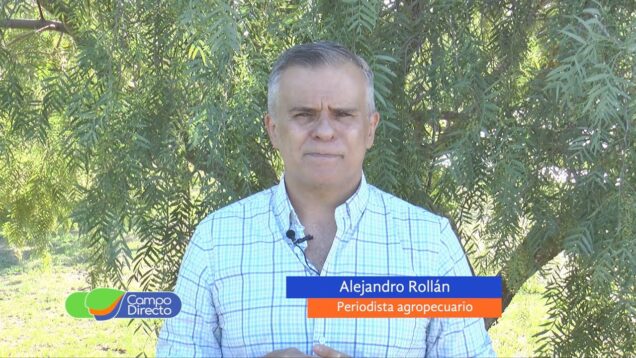 Campo Directo | Cepo a importaciones complica a la Agroindustria