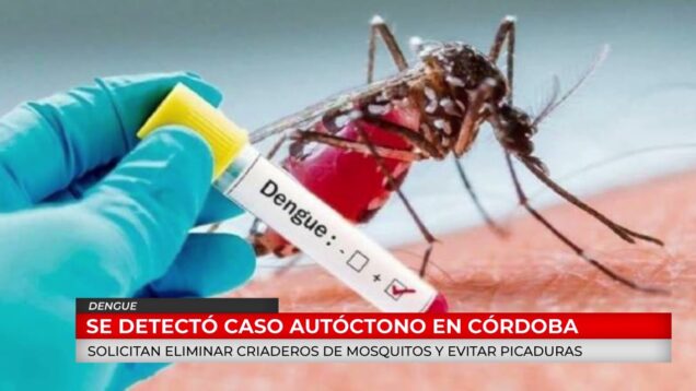 C20 Noticias | Dengue – María Gabriela Barbás