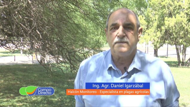 Campo Directo | Alerta de Plagas año Niña