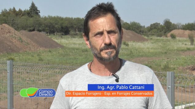 Campo Directo | Ensilado de maíces con déficit hídrico