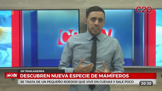 C20 Noticias | En traslasierras | Nueva especie de mamíferos – José Coda