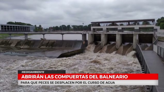 C20 Noticias | Medioambiente – Eduardo Rodríguez