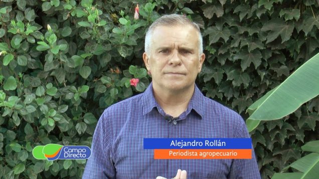 Campo Directo | El precio de la hacienda subió en el año 46%