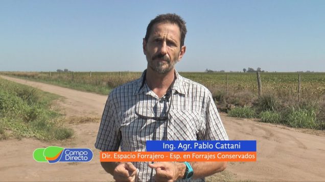 Campo Directo | Recomendaciones para la confección del silaje de soja