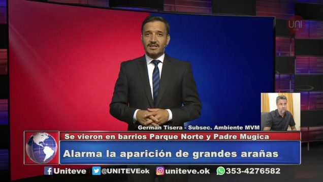 UNITEVE | Alarma la aparición de gandes arañas