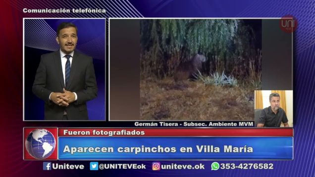 UNITEVE | Carpinchos es la costanera