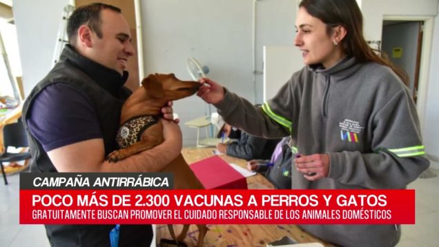 C20 Noticias | Campaña Antirrábica – Oscar Cabrignac