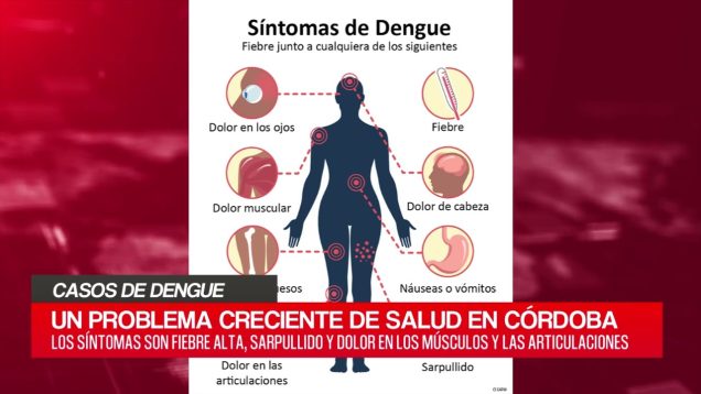 C20 Noticias | Casos de Dengue – Rebeca Nicoletti