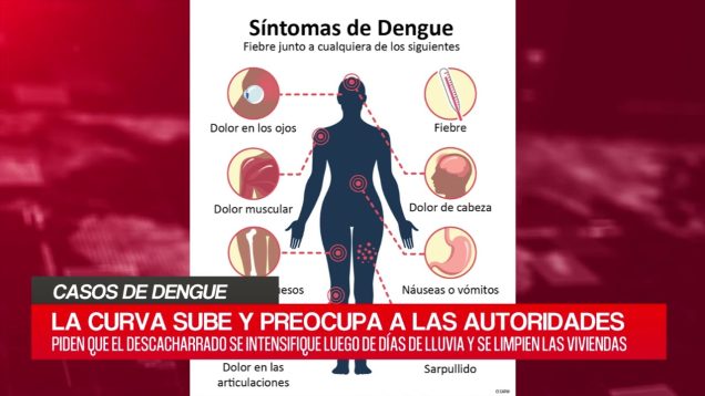 C20 Noticias | Casos de Dengue – Valeria Suaréz