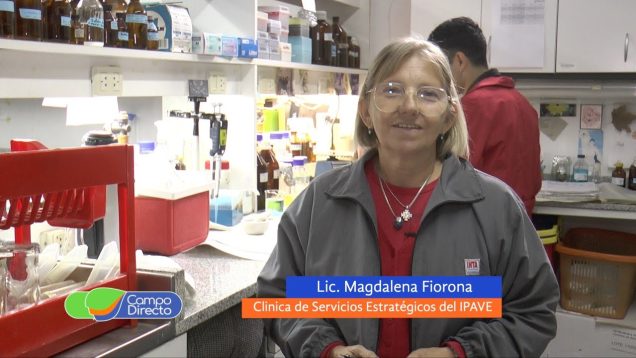 Campo Directo | Clínica de Servicios Estratégicos del IPAVE