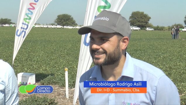 Campo Directo | Novedades en materia de bioinsumos aplicados al cultivo del maní