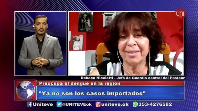 UNITEVE | Dengue | Los casos positivos de Villa Nueva y Pozo del Molle serían autóctonos