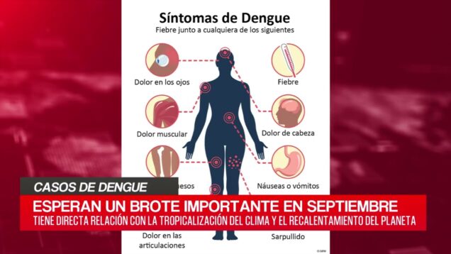 C20 Noticias | Casos de Dengue – Pedro Trecco