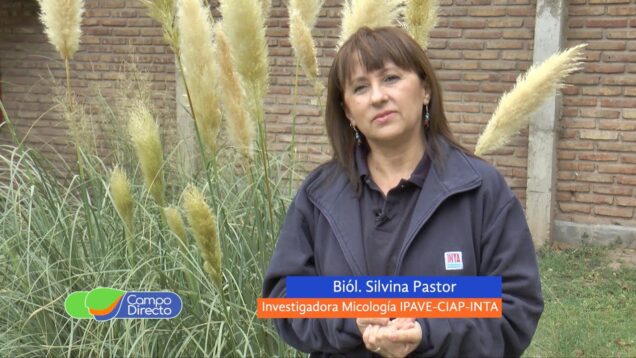 Campo Directo | Conocemos más del trabajo del IPAVE sobre el “amarillamiento del garbanzo”