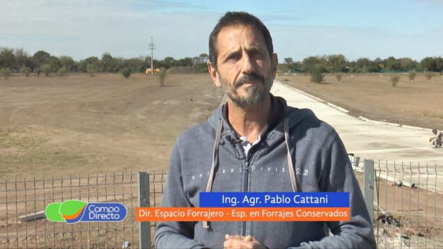 Campo Directo | Utilización eficiente de los forrajes