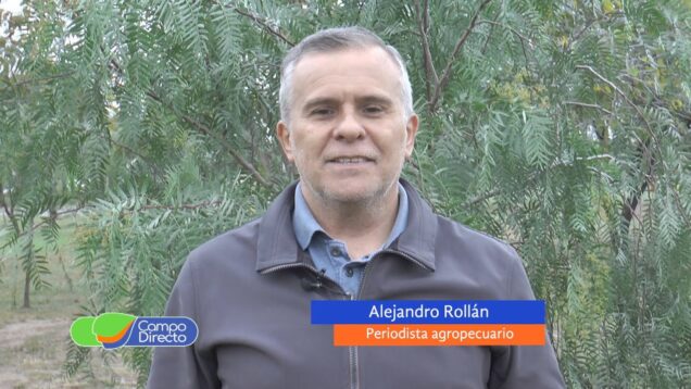 Campo Directo | China frena su ritmo exportador – Alejandro Rollán