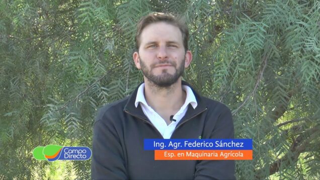 Campo Directo | Dinámica del mercado de forrajes conservados