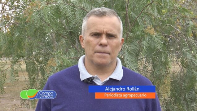 Campo Directo | ¿Es el momento de ingresar a la ganadería?