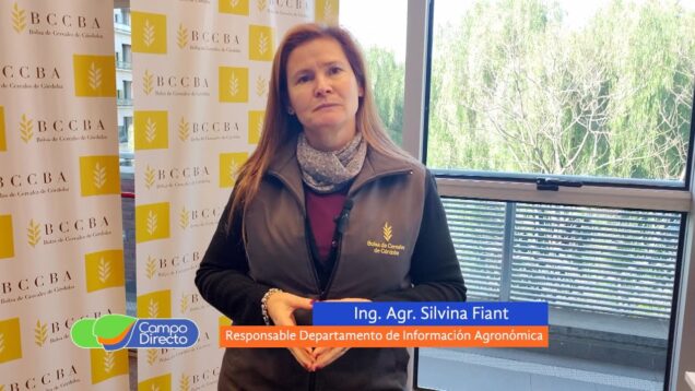 Campo Directo | La siembra de trigo y garbanzo avanza con retrasos