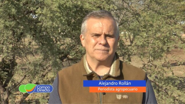 Campo Directo | Los reproductores, con valores por debajo de la inflación