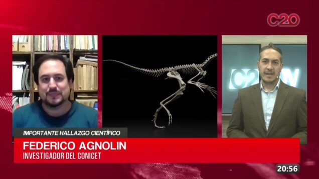 C20 Noticias | Federico Agnolin – Importante hallazgo cientifico