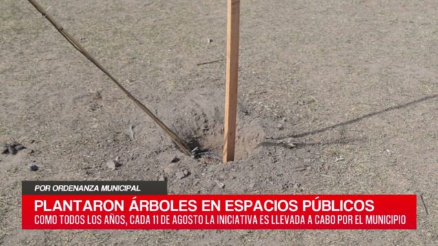 C20 Noticias | Plantación de árboles en espacios públicos – Omar Regueira