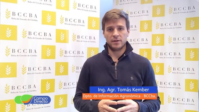 Campo Directo | Pronostican lluvias por debajo de lo normal para el próximo trimestre