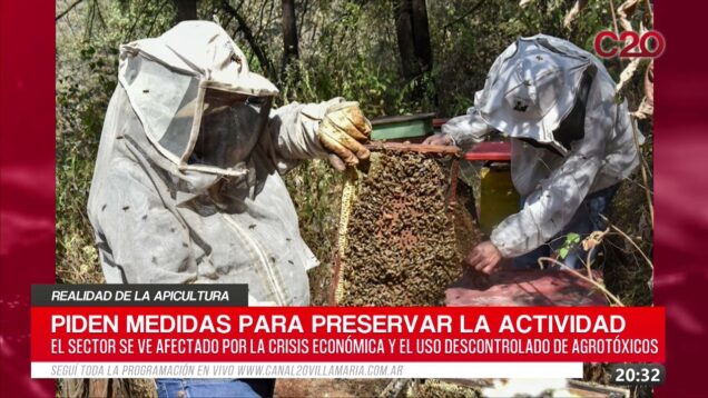 C20 Noticias | Realida de la Apicultura – Ricardo Cichy