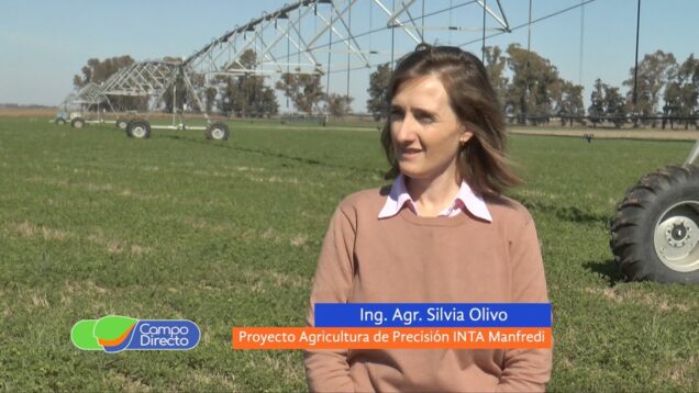 Campo Directo | Alfa Tips, herramientas de performance en alfalfas