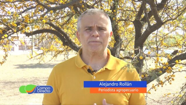 Campo Directo | El Gobierno lanzó su cuarto dólar soja en busca de U$S 2.000 millones