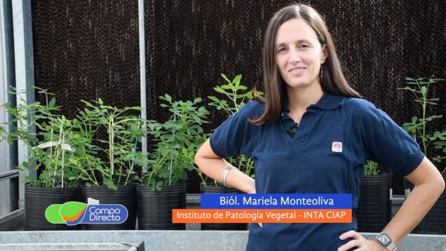 Campo Directo | El INTA investiga la tolerancia a la sequía en el cultivo de maní