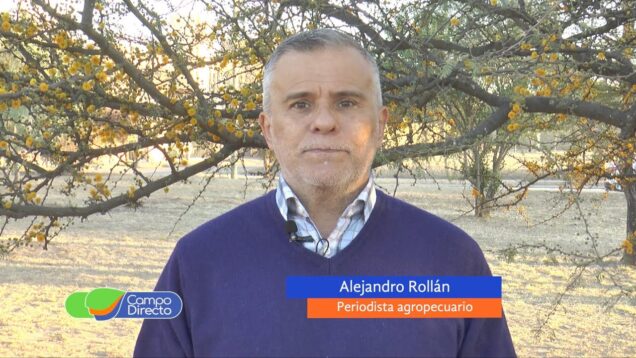 Campo Directo | El precio de la carne tuvo un aumento mensual récord