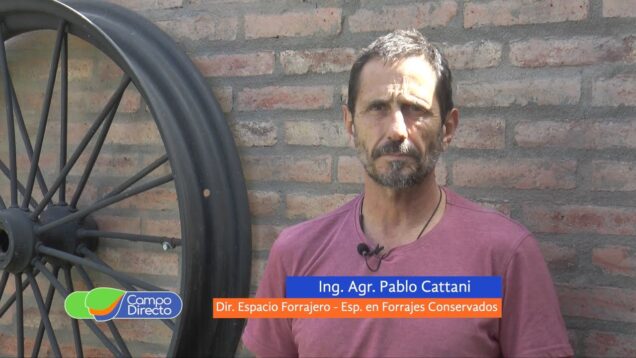 Campo Directo | Maíz o sorgo, esa es la cuestión