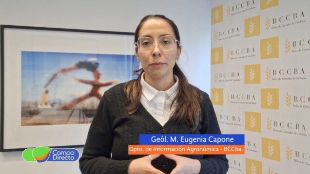 Campo Directo | Pronóstico del tiempo