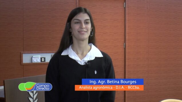 Campo Directo | Trigo y garbanzo cordobeses afectados por la sequía