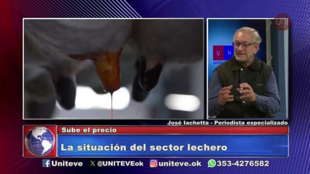 Uniteve Noticias | Se eliminan las retenciones al maní