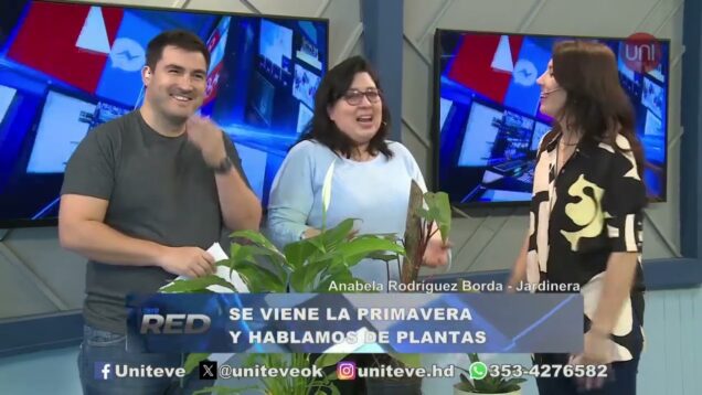Uniteve Noticias | Se viene la primavera y hablamos de plantas – Anabela Rodríguez Borda