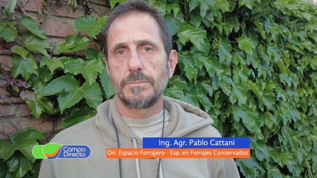 Campo Directo | ¿Autoconsumo o consumo en el silo?, esa es la cuestión