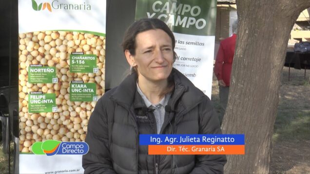 Campo Directo | El garbanzo avanza con perspectivas de más producción