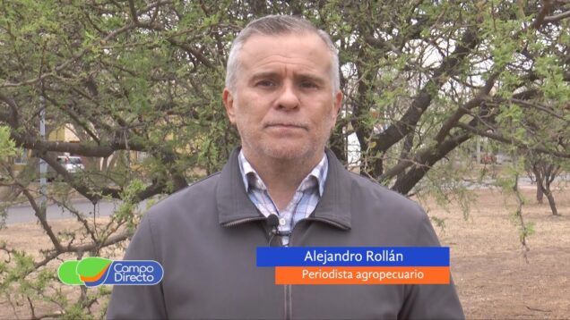 Campo Directo | El Gobierno extendió el dólar soja, pero el tipo de cambio pierde fuerza