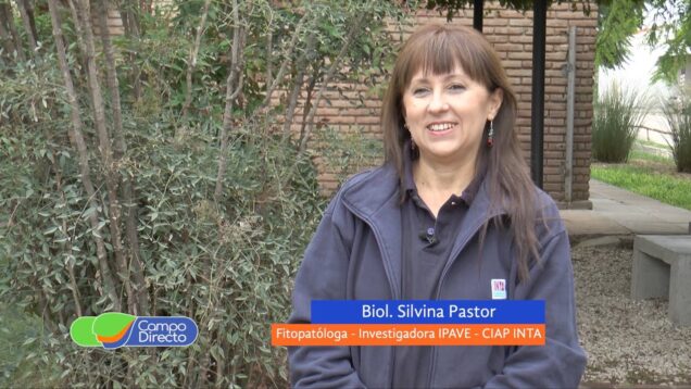 Campo Directo | Médicos de plantas al servicio de productores hortícolas – Silvia Pastor